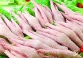 點(diǎn)擊查看商品:冷凍雞爪